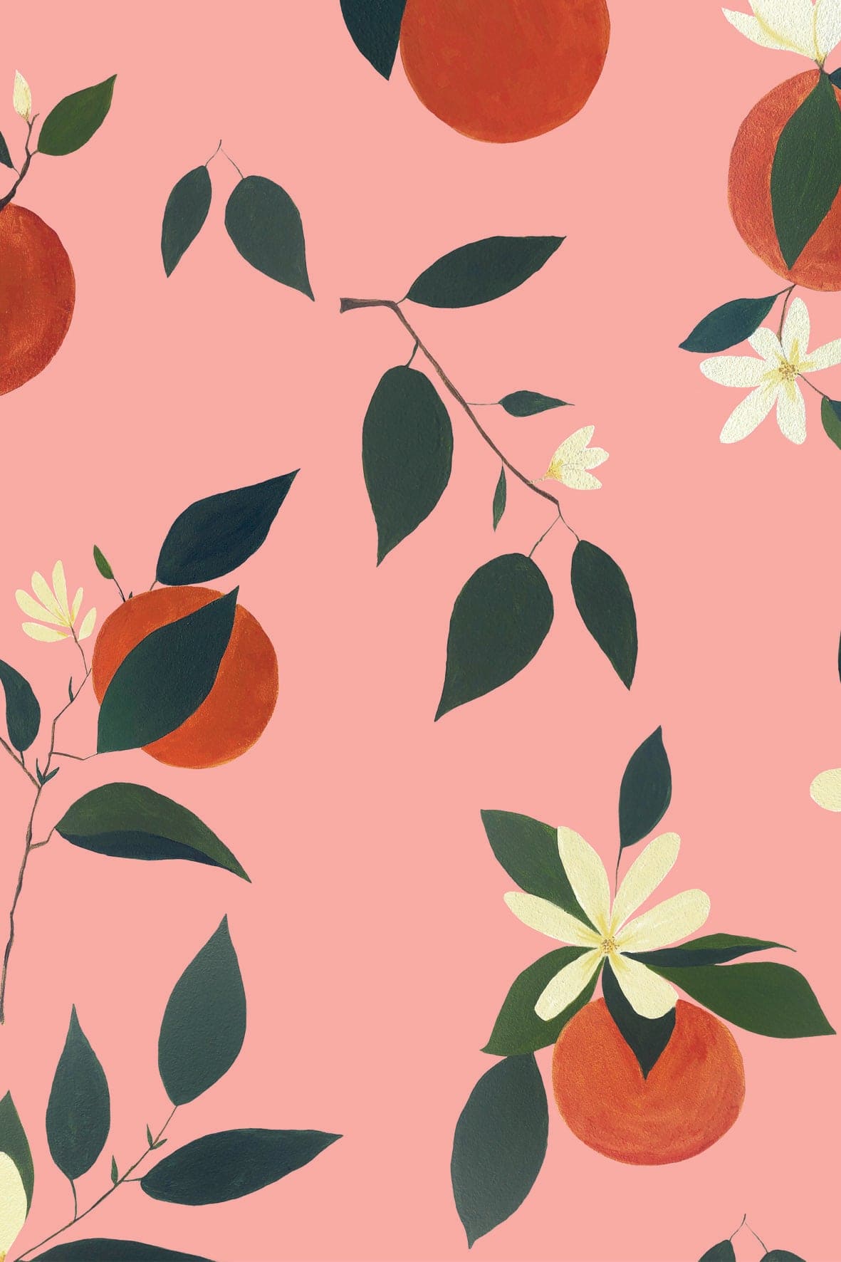 Wallpaper Oranges 