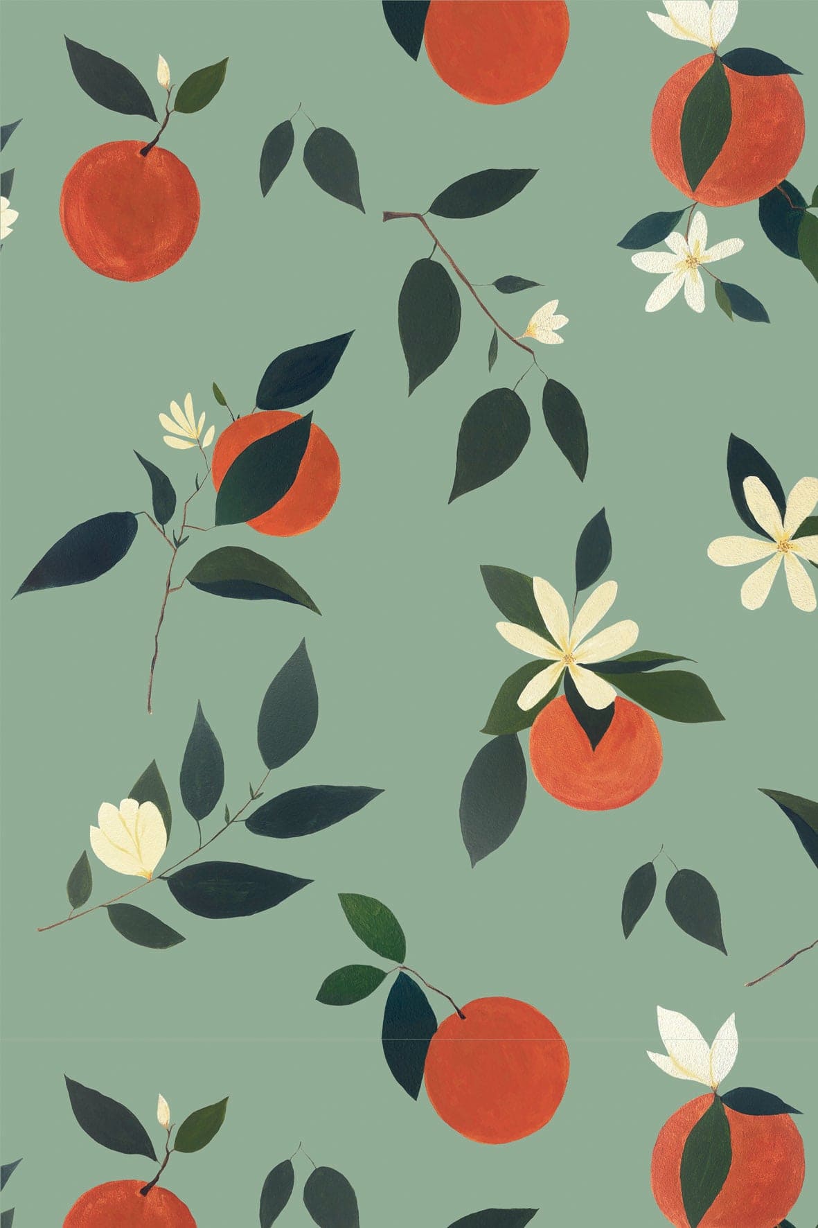 Wallpaper Oranges 